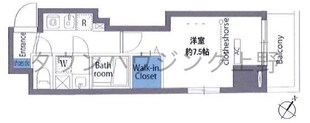 ミレドゥーエ両国の物件間取画像